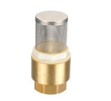 Brass Spring Check Valve with Filter Approved CE (AMT-8002)