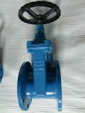 Cast Iron Manual Operated Double Flange Gate Valve