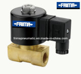 Direct Solenoid Valve for Coal Gas (FGV 1/4''-6L)
