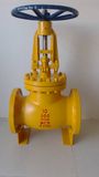 JIS Cast Steel Globe Valve