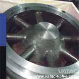 Nozzle Type A351 CF8m/F316/Ss316 Wafer Check Valve