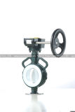 Gear Operated Butterfly Valve (RBV040)