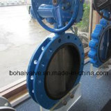 U Type Butterfly Valve with Cast Iron