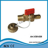 Drain Ball Valve for Boiler with Tail Pipe (V20-026)