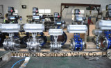Pneumatic Actuated Double Butterfly Valve