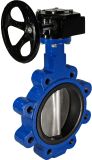 Cast Iron Wafer and Lug Type Butterfly Valve with Pin