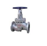 DIN Globe Valve