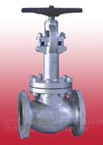 Globe Valve (4)