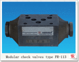 Modual Check Valve (ER, FR, PR)