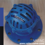 DIN/BS Std Cast Iron/Ductile Iron Foot Valve in Pump Application