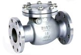 Stainless Steel Industrial Flange Check Valves