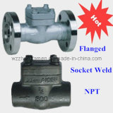 Forged Steel Check Valve (SW, NPT, Flanged)