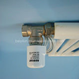 Electric Actuator Valve (BYL-6634-1)