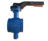 Cast Iron Clamp Type Butterfly Valve Manufacturer