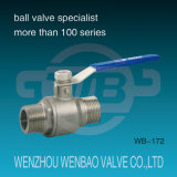 2-PC Male Threaded Stainless Steel Lever Operated Floating Ball Valve