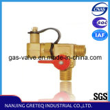QF-T1H Brass Nature Gas Refilling Valve for Vehicle (20MPa, 11mm hole)