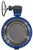 Flanged Eccentric Butterfly Valve
