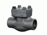 Forged Lift Check Valve (800LB)