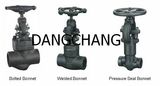 Forged Steel Globe Valves