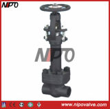Forged Low Temperature Gate Valve