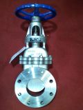 Stainless Steel Swing Flanged Knife Gate Valve