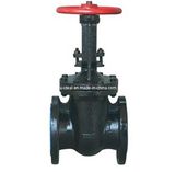 Cast Iron Type Gate Valve