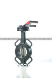 Wafer Type Rubber Seat Butterfly Valve (RBV010)