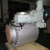 API6a, 6D, Trunnion Mounted/Floating Ball Valve