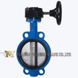 Cast Iron Worm Gear Operated Wafer Butterfly Valve