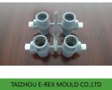 Plastic Rotary Valve Fitting Mould