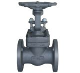 Flanged Forged Steel Gate Valve