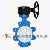 Worm Gear PTFE Lined Concentric Lug Type Wafer Butterfly Valve