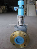High Quality Spring Loaded Safety Valve