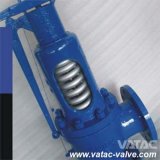 A216 Wcb Low Lift Safety Valve
