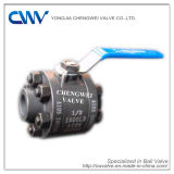 Forged Steel Ball Valves with Sw Ends