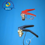 Brass Valve for Fire Extinguishers