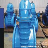 Cast Iron Gg20, Gg25, FC20 or A126 B Soft for Brass Seat Gate Valve