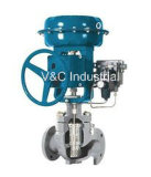 Caged Control Valve with Actuator