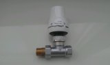 Brass Radiator Valve for Water (a. 7001)