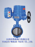 Electric Actuator Butterfly Valve (D971X-10/16)