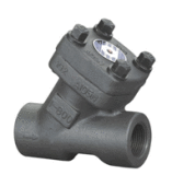 Forged Steel Y Pattern Ball Type Check Valve (H11)