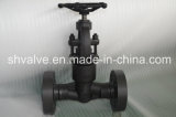 API 602 Flanged Connection Forged Globe Valve