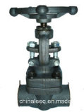 1500lb Forged Steel Globe Valve with Sw End / Threaded End / Flange End