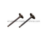 High Quality Intake Exhaust Valve Generator Part for 188f