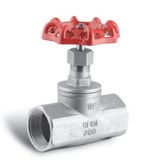 Globe Valve