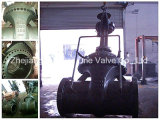 SGS Assigned Flanged Worm Type Gate Valve (Z41Y)