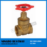 Forged Brass Gate Valve for Water Meter (BW-G04)