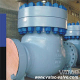API 6D Industrial Flange or Wafer Cast Iron or Forged Stainless Steel Ball or Swing Check Valve