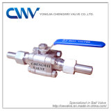 Forged Steel Floating Ball Valve with Bw Nipple