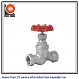 Stainless Steel Screwed Globe Valve